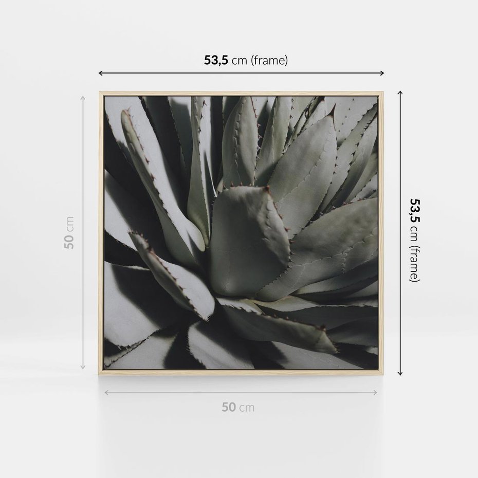Obraz w ramie 50x50 - Sukulenty wśród kaktusów - sukulenty, kaktusy - rama drewno