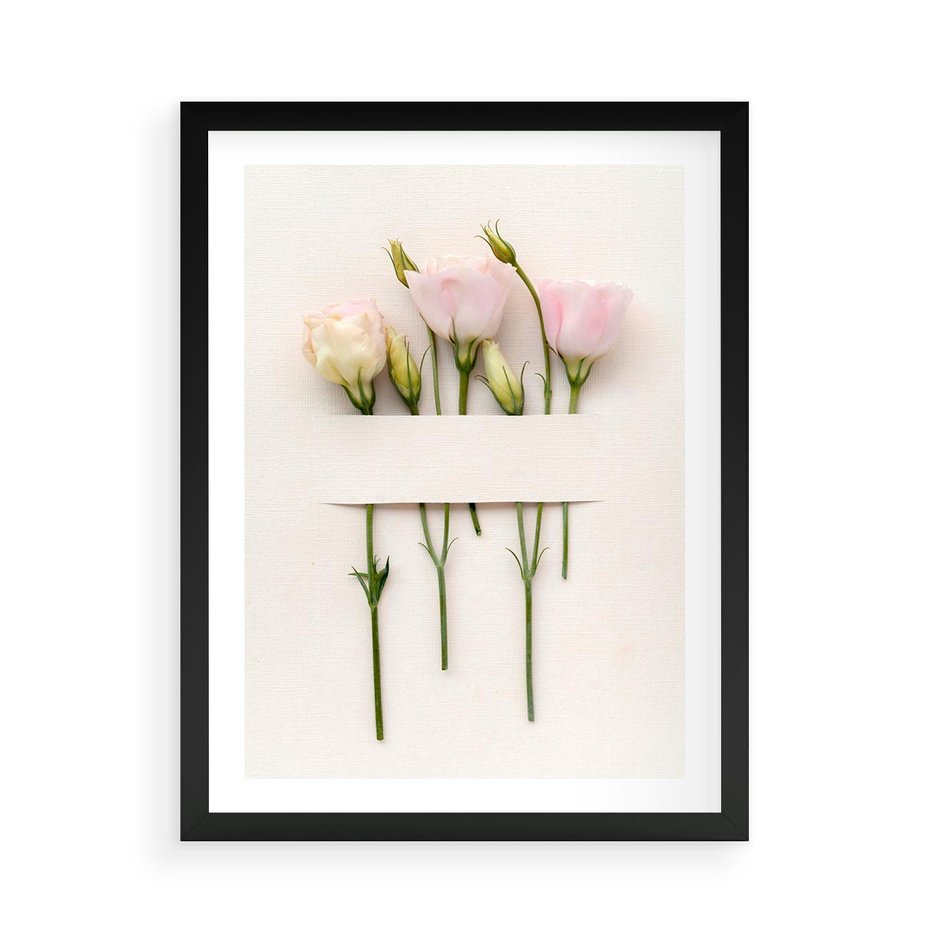 Plakat w ramie 50x70 - Białe kwiatowe uniesienia - białe, kwiaty - rama czarna
