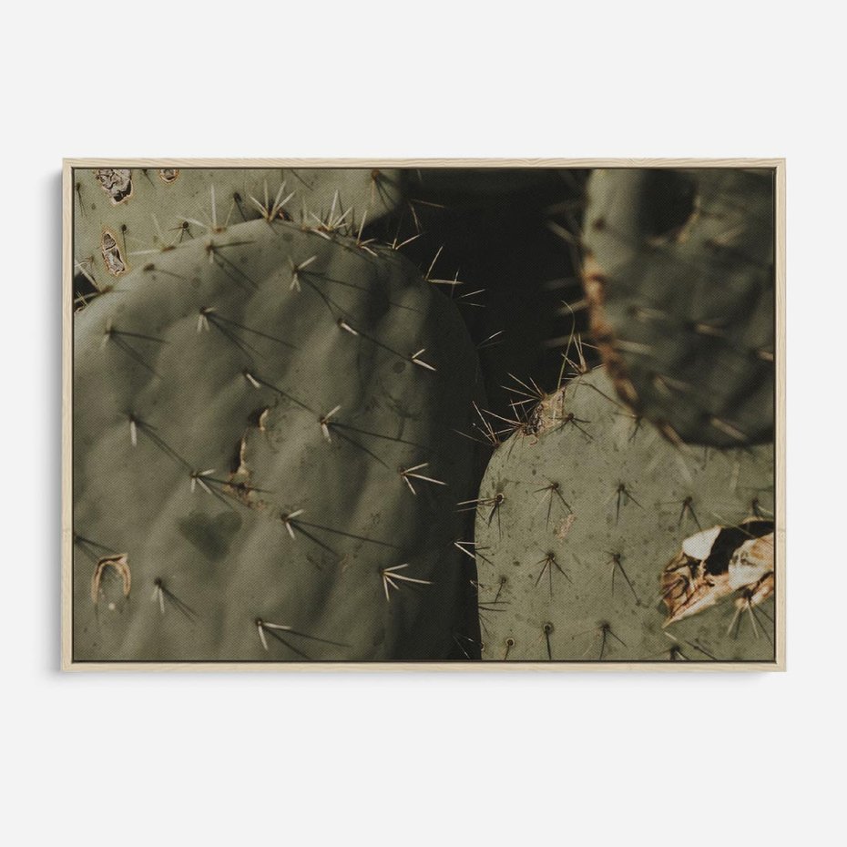 Obraz w ramie 100x70 - Urok Egzotyki - kaktusy, boho - rama drewno