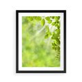 Plakat w ramie 40x50 - Zielone liście natury - liści, zieleń - rama czarna