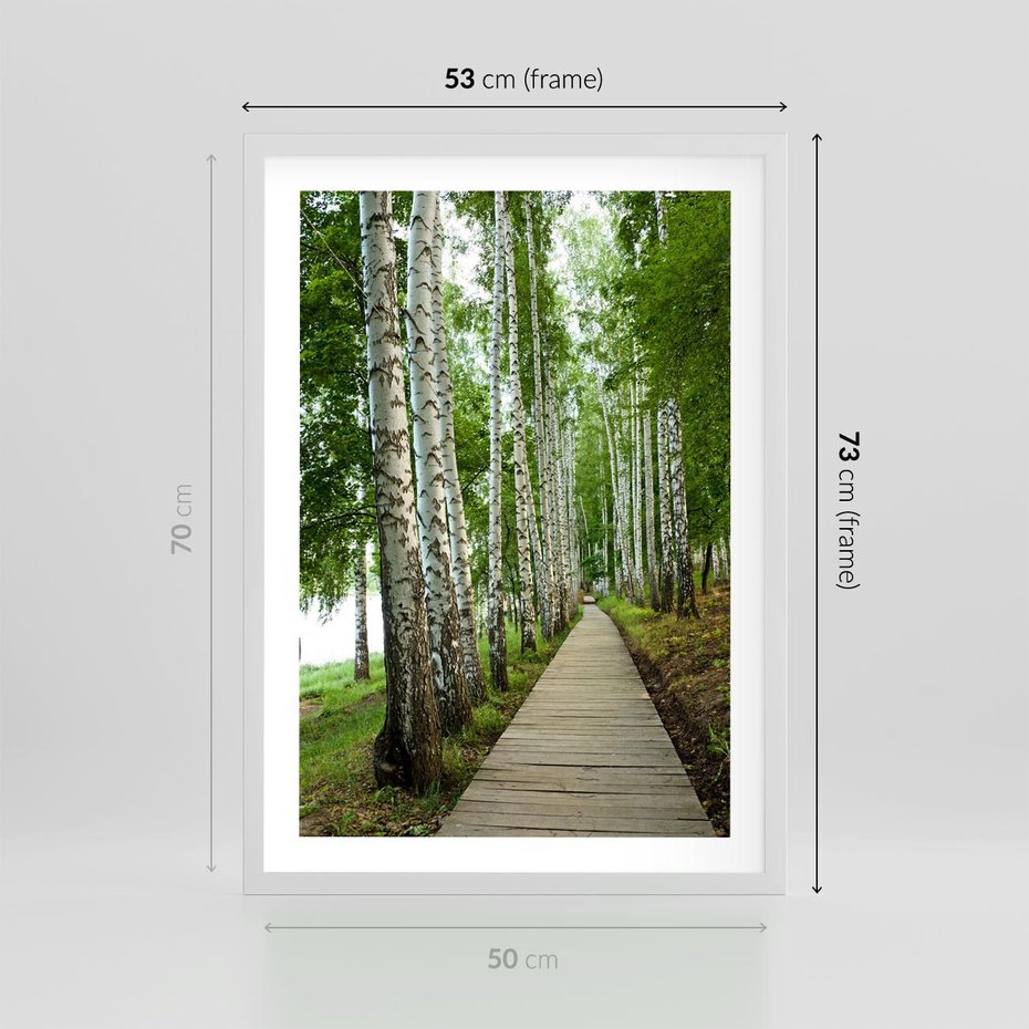 Plakat w ramie 50x70 - Spacer ścieżką przez brzozowy las - las, ścieżka - rama biała