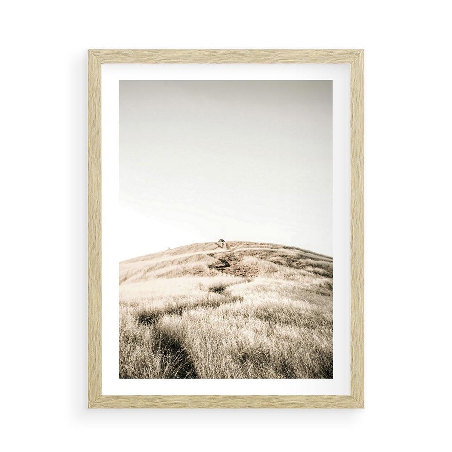 Plakat w ramie 50x70 - Wzgórze w Odcieniach Sepii - wzgórze, trawy - rama drewno