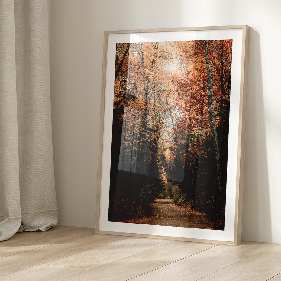 Plakat w ramie 30x40 - Drzewa w Czerwonych Liściach - las, jesienny las - rama drewno