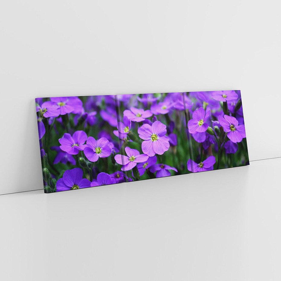 Obraz na płótnie 90x30 - Kwiatowe uniesienia magia natury - kwiat, kwiaty