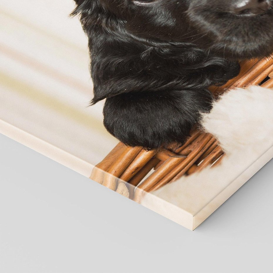 Obraz na płótnie 100x70 - Uroczy szczeniak w akcji - piesek, szczeniak