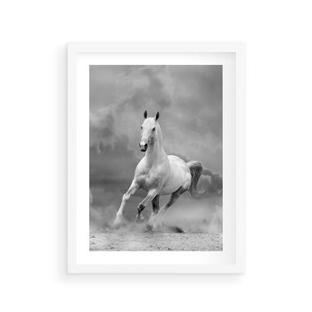 Plakat w ramie 30x40 - Elegancja w Czarno-Białym - koń, biało - rama biała