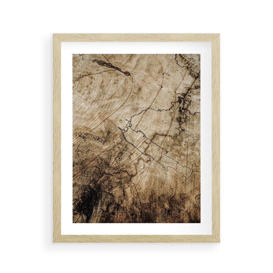 Plakat w ramie 40x50 - Słoje Natury - słoje drzewa, pieńdrzewa - rama drewno