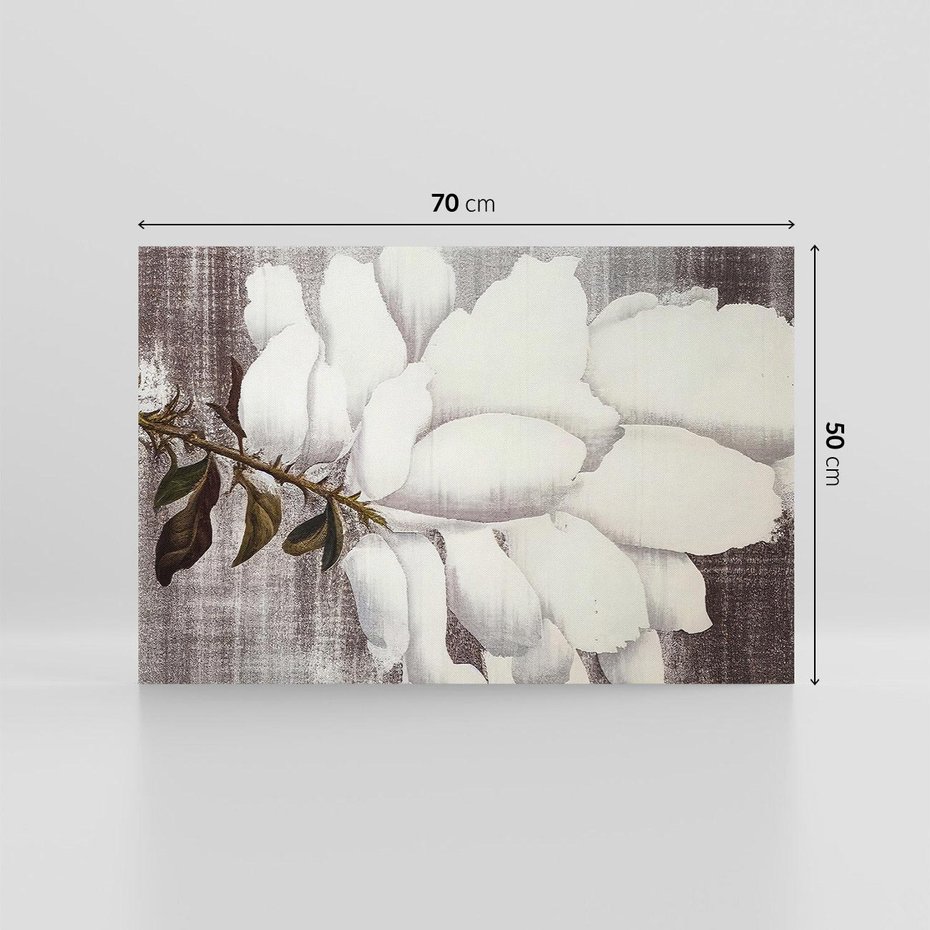 Obraz na płótnie 70x50 - Tekstura Kwiatu - białe kwiaty, duży kwiat