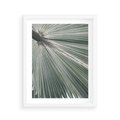 Plakat w ramie 40x50 - Jasnozielony Świat - palma, liść - rama biała