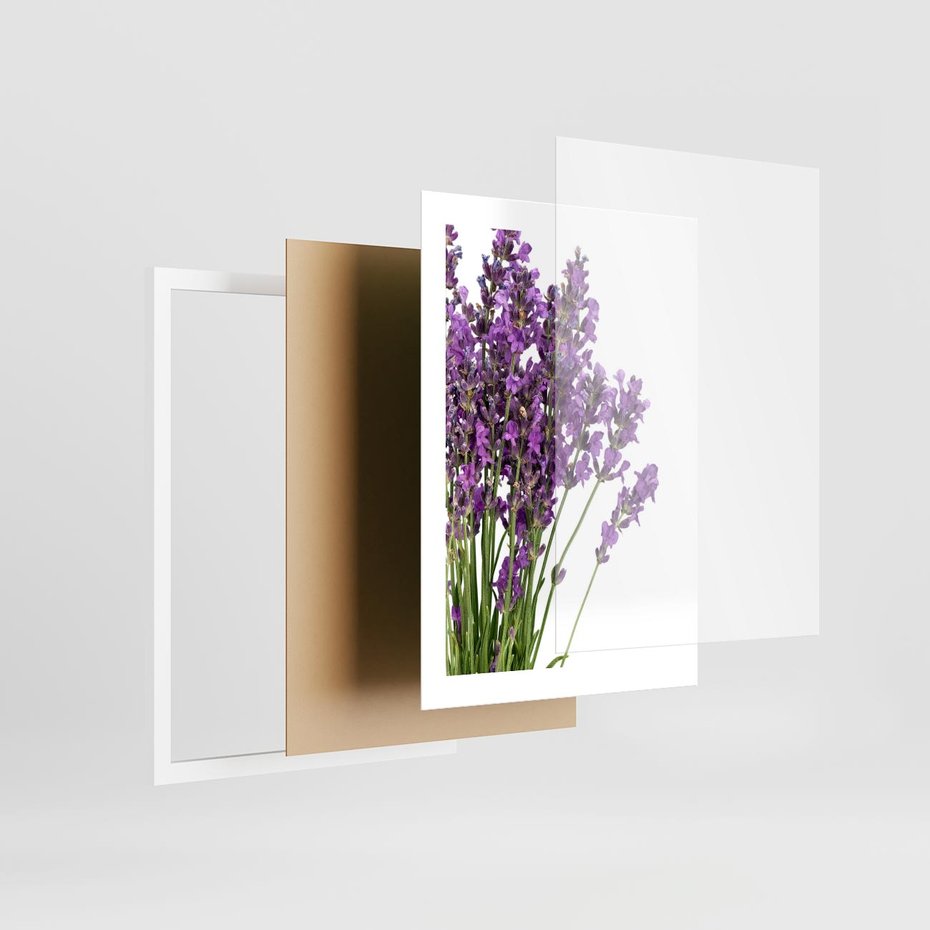 Plakat w ramie 30x40 - Pola lawendy w pełnym rozkwicie - lawenda, kwiaty - rama biała