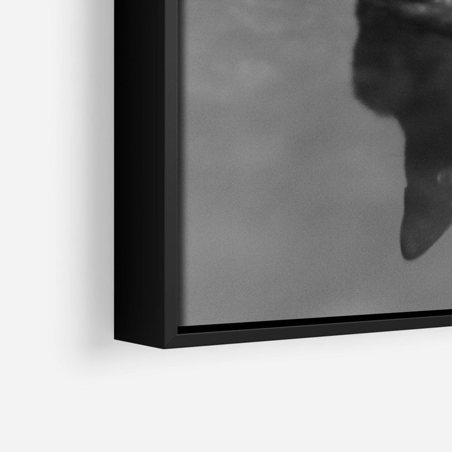 Obraz w ramie 70x100 - Kocie Oczy - kot, czarno białe zdjęcie - rama czarna