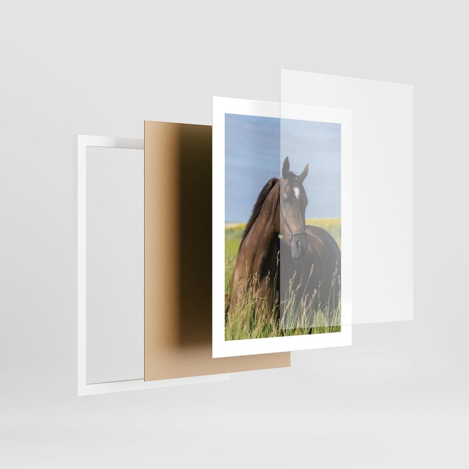 Plakat w ramie 30x40 - Siła i piękno natury - koń, łąka - rama biała