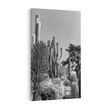 Obraz na płótnie 80x120 - Pustynny Klimat - czarno białe zdjecie, pustynia