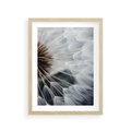 Plakat w ramie 30x40 - Dmuchawce w Naturze - dmuchawiec, zbliżenie - rama drewno