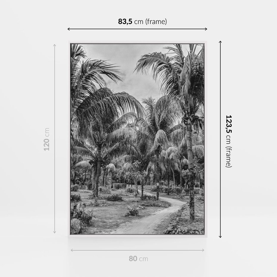 Obraz w ramie 80x120 - Mroczna Ścieżka Tropików - czarno biała fotografia, ścieżka pośród palm - rama biała