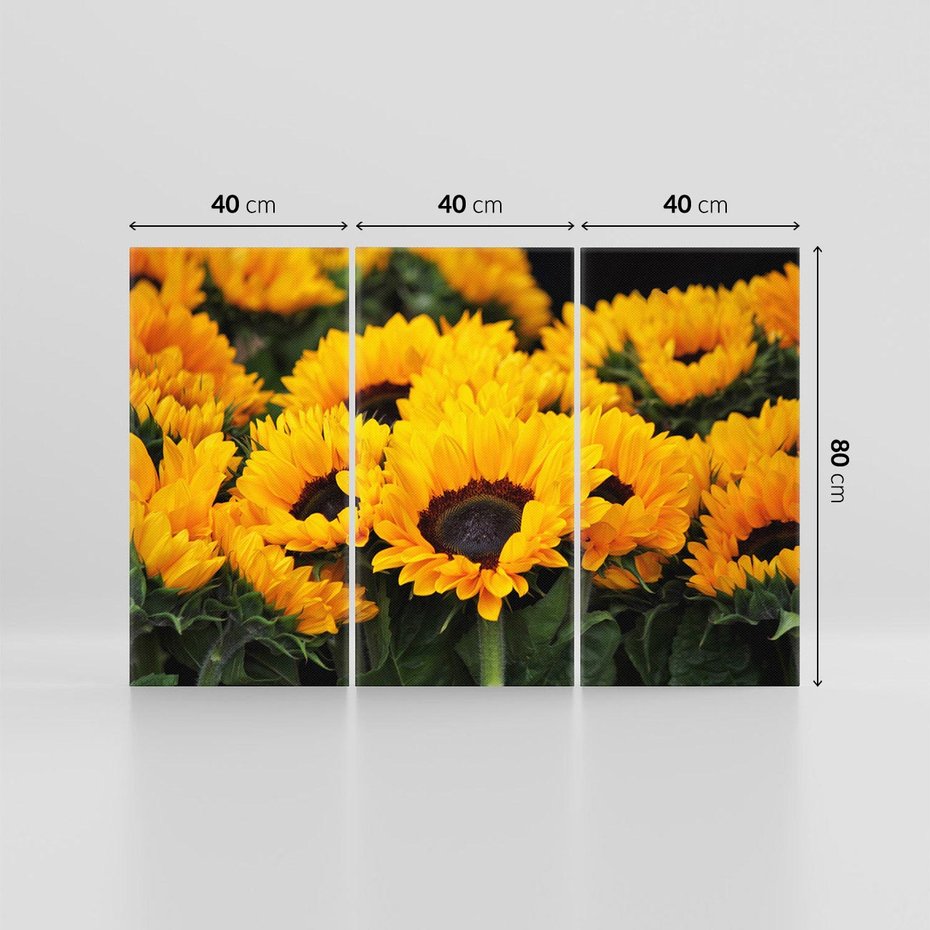 Obraz na płótnie 120x80 - promień słoneczny w kwiatowym świecie - słoneczniki, kwiat