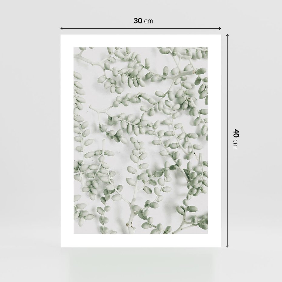 Plakat bez ramy 30x40 - Delikatność Zieleni - zielone gałązki, listki