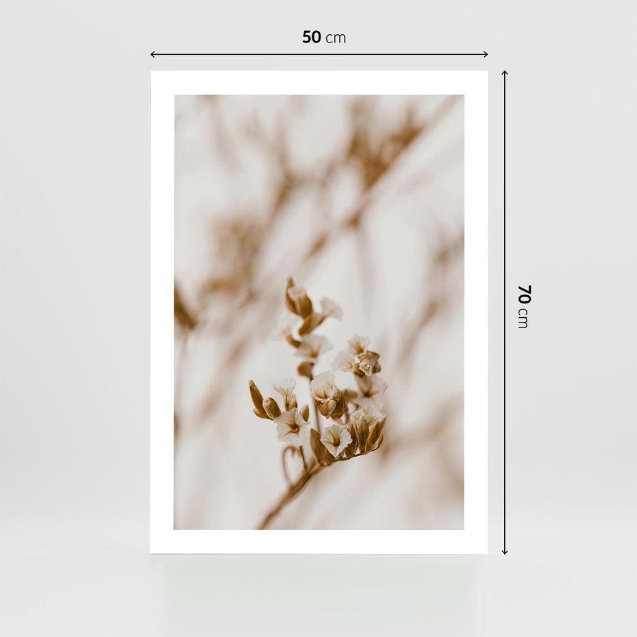 Plakat bez ramy 50x70 - Kwiatowa suchość - kwiaty, susz