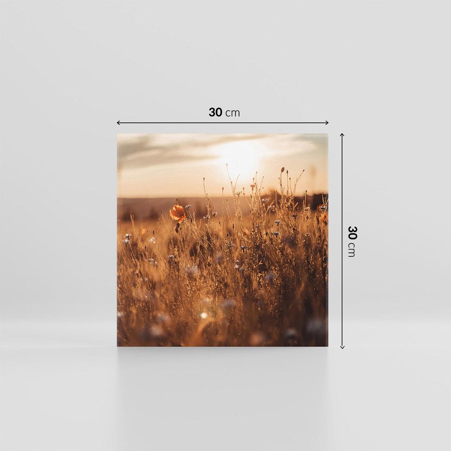Obraz na płótnie 30x30 - Zachwyt zachodem słońca na łące - zachód, słońca