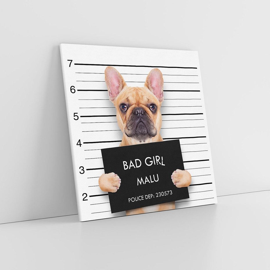 Obraz na płótnie 70x70 - przyjaciel na zawsze - pies, piesek