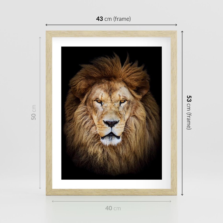 Plakat w ramie 40x50 - Król zwierząt w majestatycznym stylu - lew, król - rama drewno
