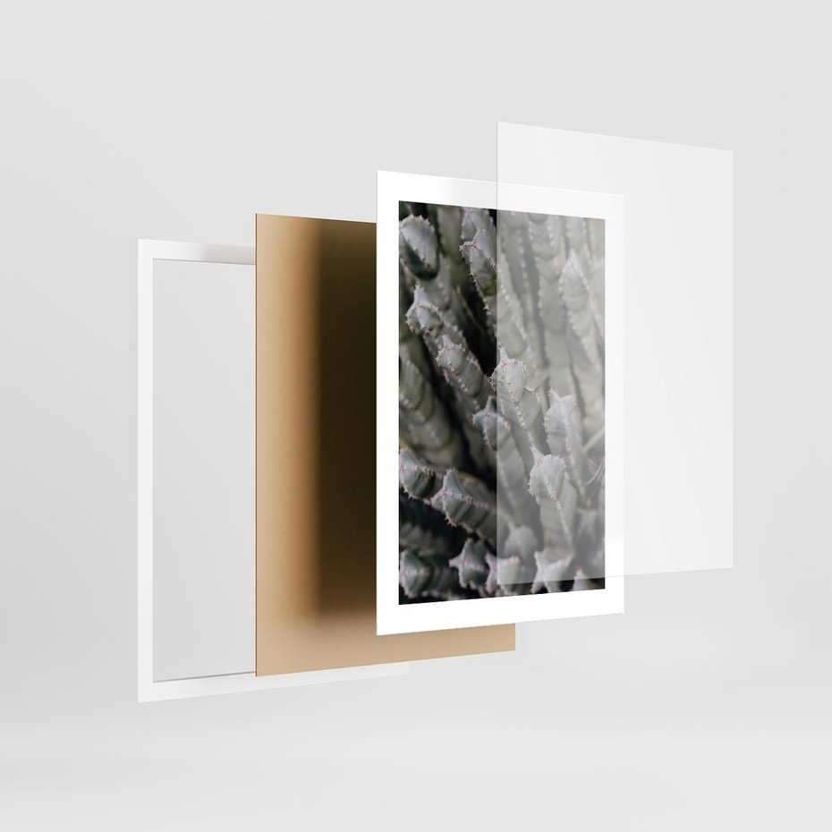 Plakat w ramie 30x40 - Boho kaktusy na pustyni - kaktusy, pustynia - rama biała