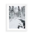 Plakat w ramie 50x70 - Spokój Zimowego Lasu w Górach - zima w lesie, w górach - rama biała