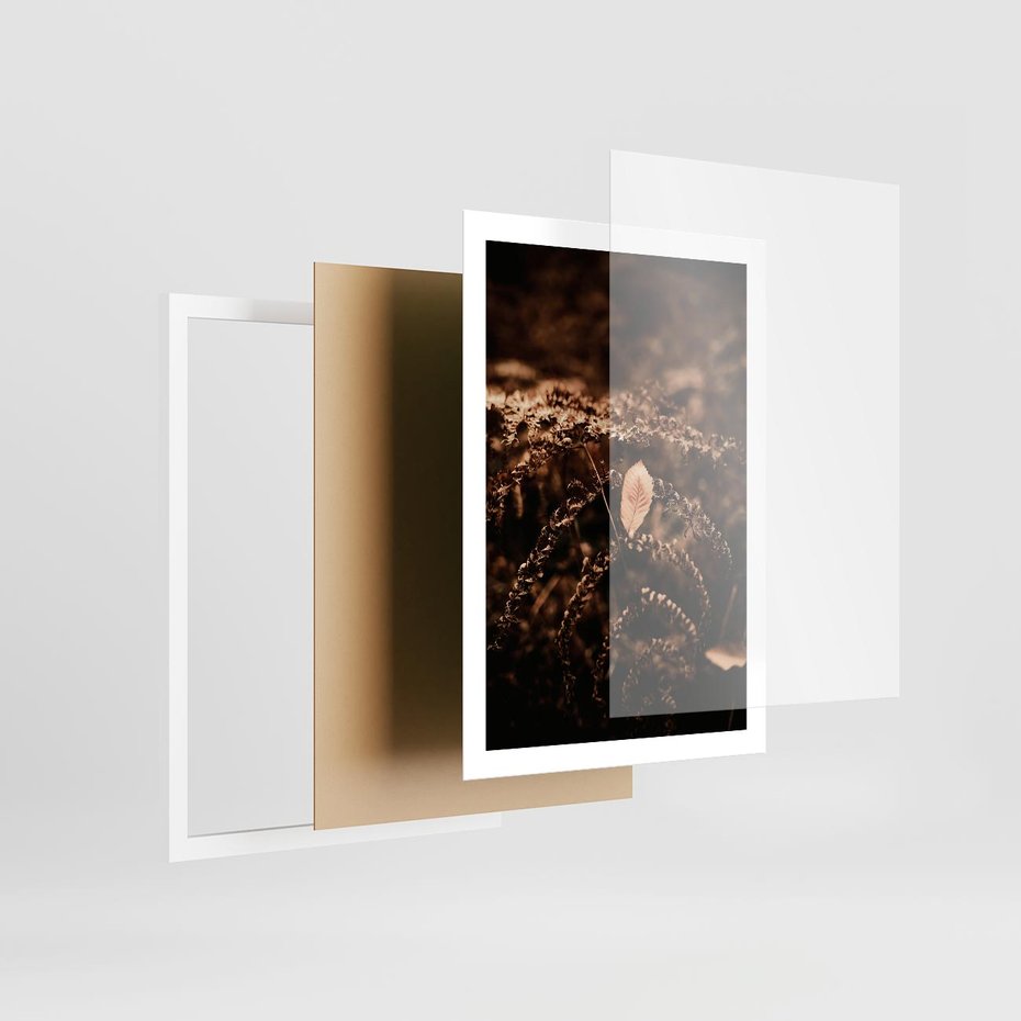 Plakat w ramie 50x70 - Gałęzie i Liść w Brązowej Tonacji - suche gałęzie, liść - rama biała