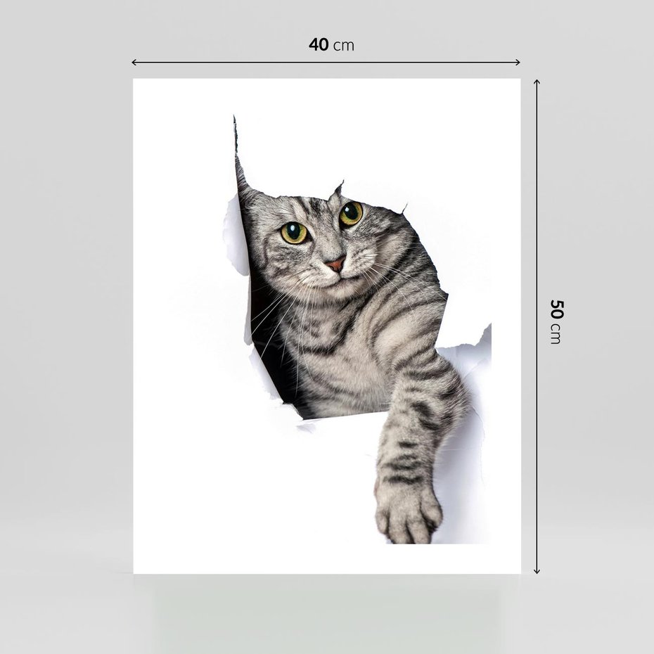 Plakat bez ramy 40x50 - Tajemniczy kot i jego świat - kot, dziura