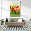 Obraz na płótnie 50x70 - delikatność kwiatowego świata - tulipany, kwiaty