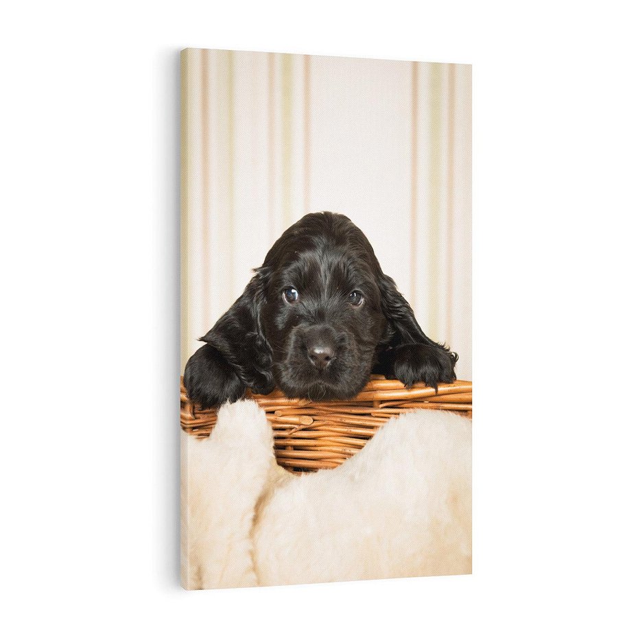 Obraz na płótnie 70x100 - Uroczy szczeniak w akcji - piesek, szczeniak