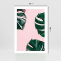 Plakat bez ramy 21x30 - Siła Natury - liście, monstera