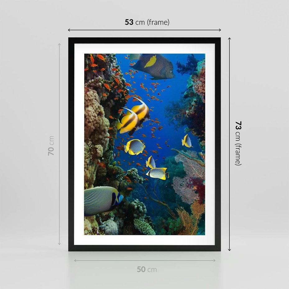 Plakat w ramie 50x70 - Podwodne królestwo rafy koralowej - rafa, koralowa - rama czarna