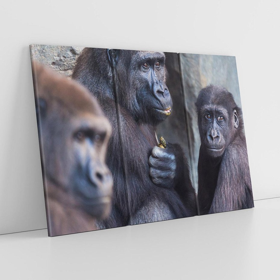 Obraz na płótnie 120x80 - Małpy w ich naturalnym środowisku - małpy, szympansy