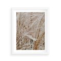 Plakat w ramie 40x50 - Beżowa Trawa - suche trawy, zbliżenie - rama biała