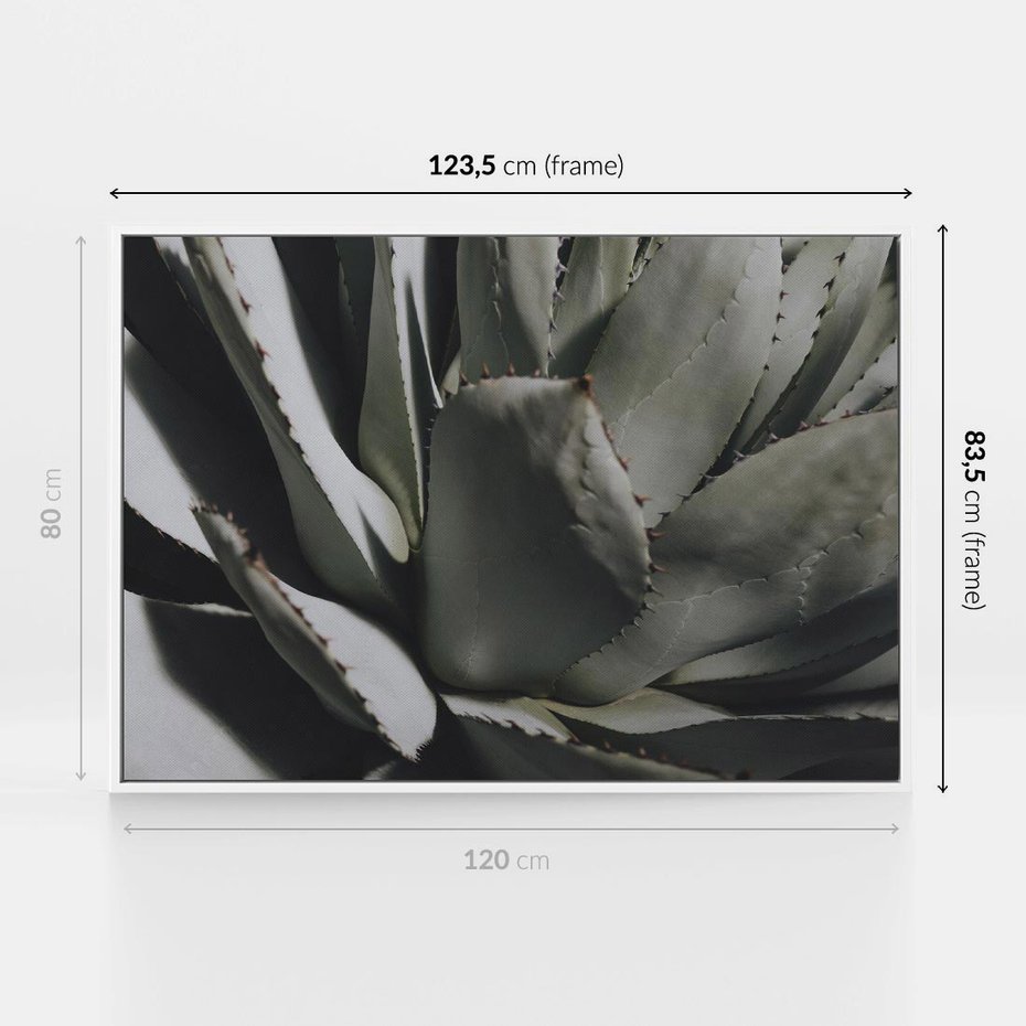 Obraz w ramie 120x80 - Sukulenty wśród kaktusów - sukulenty, kaktusy - rama biała