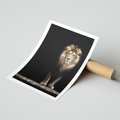Plakat bez ramy 21x30 - Lew: dzikie piękno natury - lew, dzikie