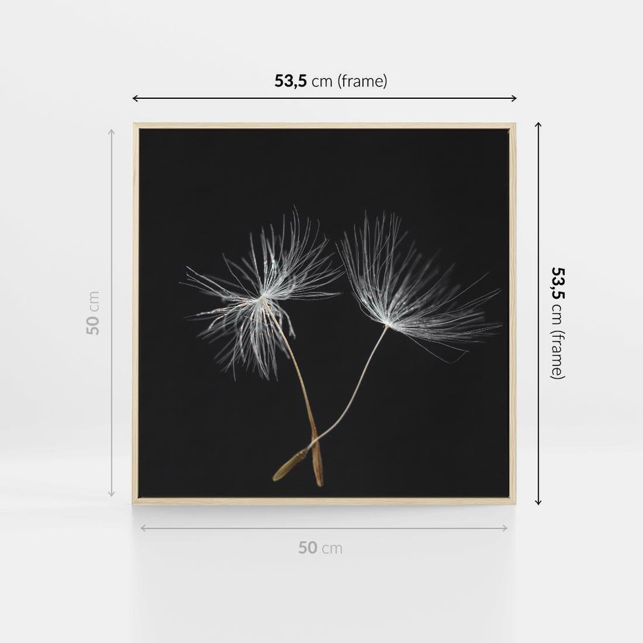 Obraz w ramie 50x50 - Delikatność Wiatru - dmuchawce, makro - rama drewno