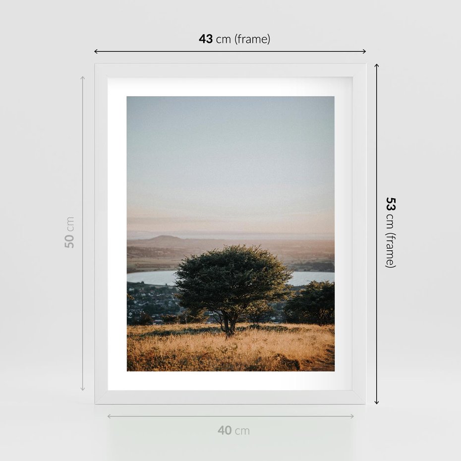 Plakat w ramie 40x50 - Siła Natury - drzewo, pejzaż - rama biała