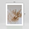 Plakat bez ramy 40x50 - Boho Urok Traw Pampasowych - suche trawy, pampas