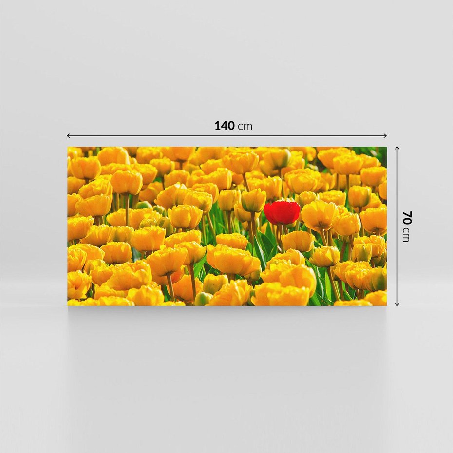 Obraz na płótnie 140x70 - kwiatowa elegancja - tulipany, kwiat