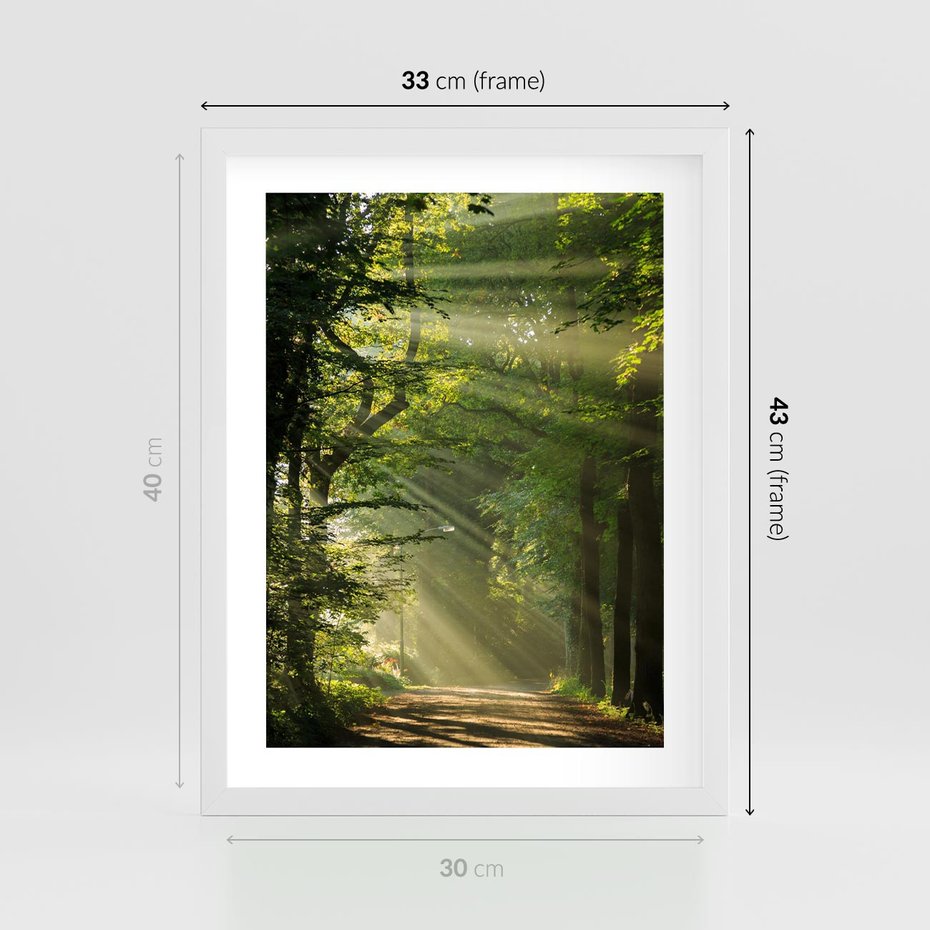 Plakat w ramie 30x40 - harmonia natury - las, drzewa - rama biała