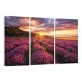 Obraz na płótnie 120x80 - Lawenda: Pachnące pole kwiatów - kwiaty, lawenda