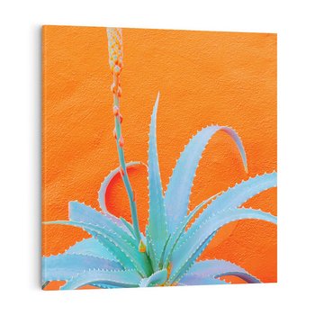 Obraz na płótnie 40x40 - Naturalna Harmonia - kaktusy, liście