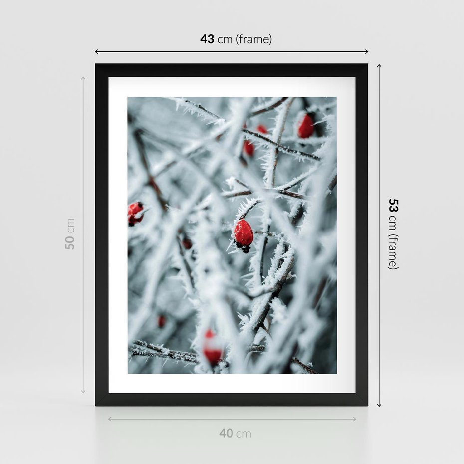 Plakat w ramie 40x50 - Zima na Gałęziach - zima, oszronione gałęzie - rama czarna