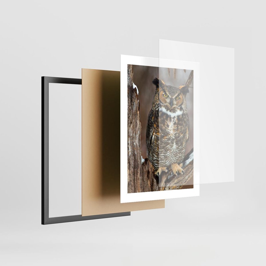 Plakat w ramie 30x40 - Tajemniczy Stróż - sowa, las - rama czarna