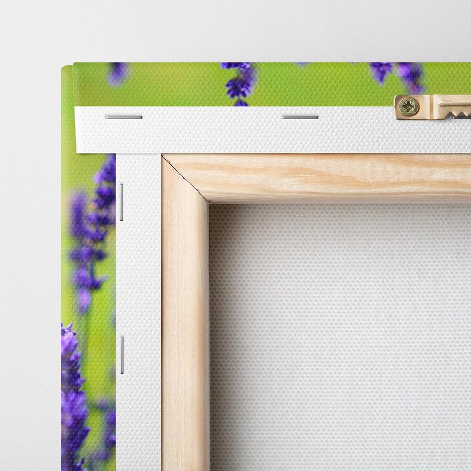 Obraz na płótnie 30x30 - Lawenda w naturze - lawenda, kwiaty