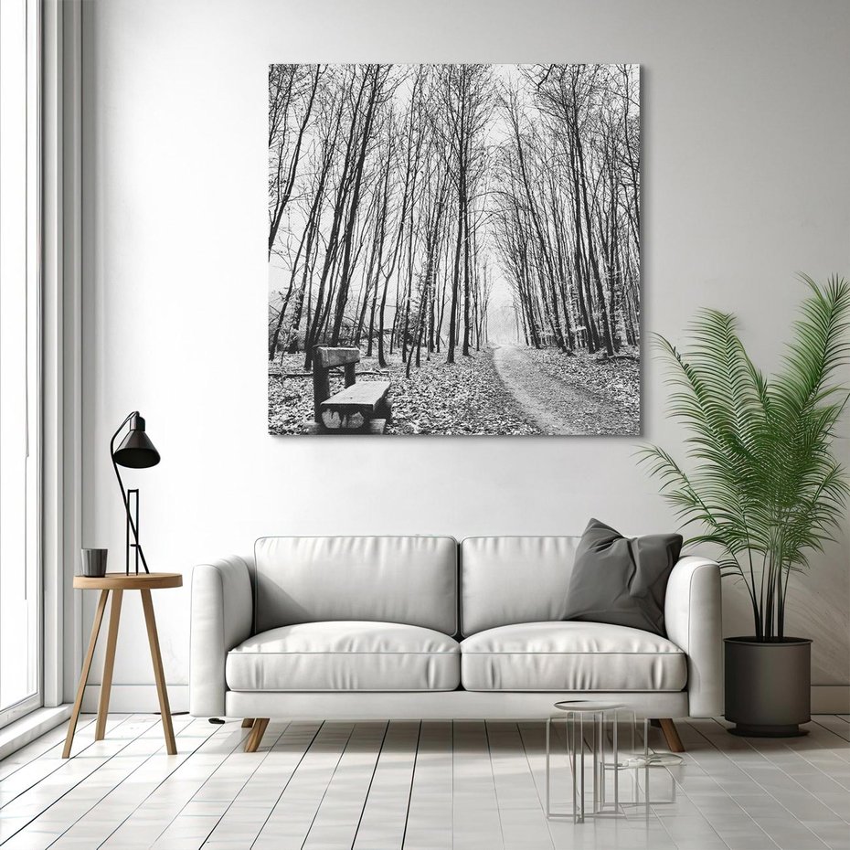 Obraz na płótnie 30x30 - Spadające Liście - czarno białe zdjecie, park