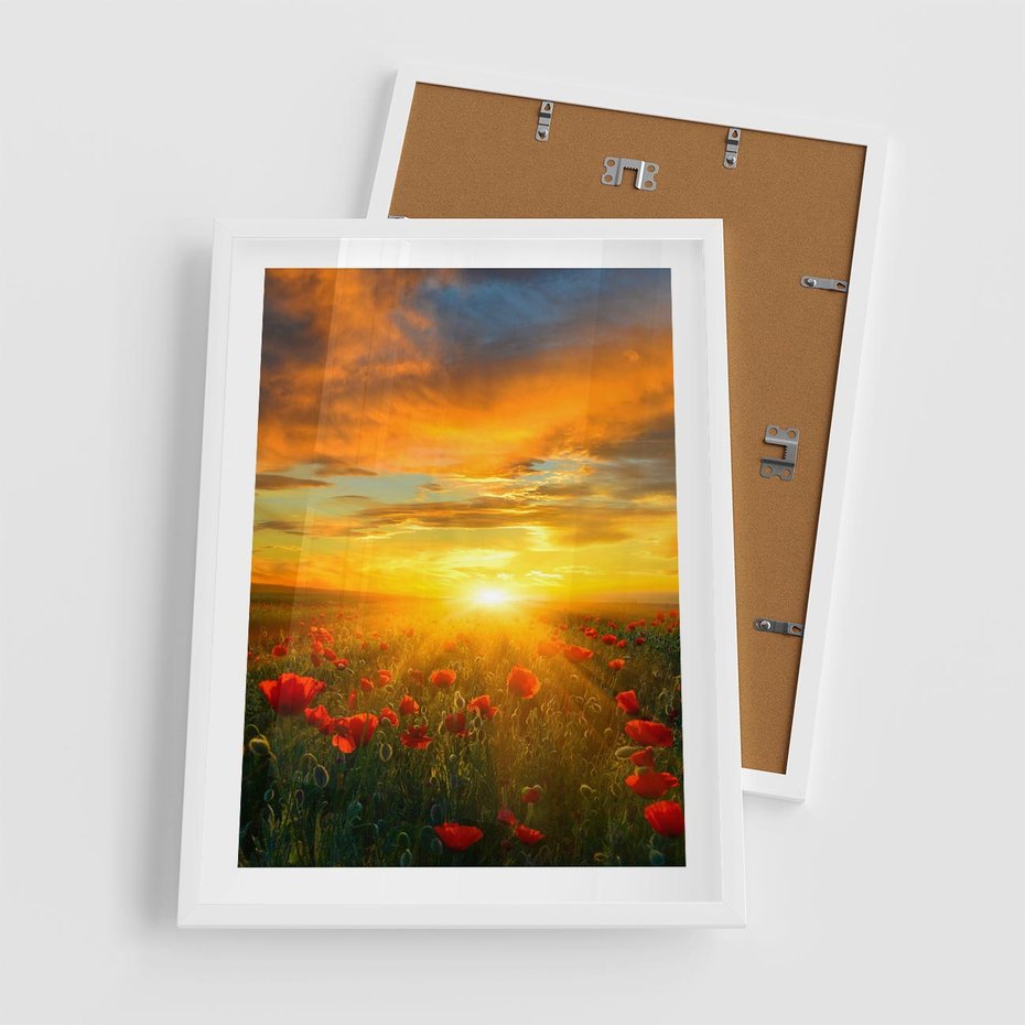 Plakat w ramie 50x70 - Magia zachodu słońca na łące z makami - łąka, zachód słońca - rama biała