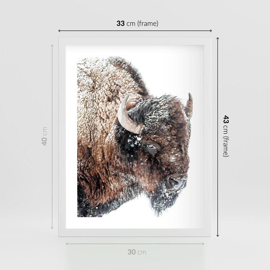 Plakat w ramie 30x40 - Obraz Dzikiej Przyrody w Śnieżnym Otoczeniu - żubr, śnieg - rama biała